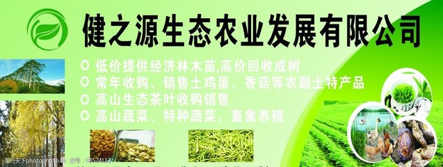 绿野丰饶 农副土特产品的自然味道